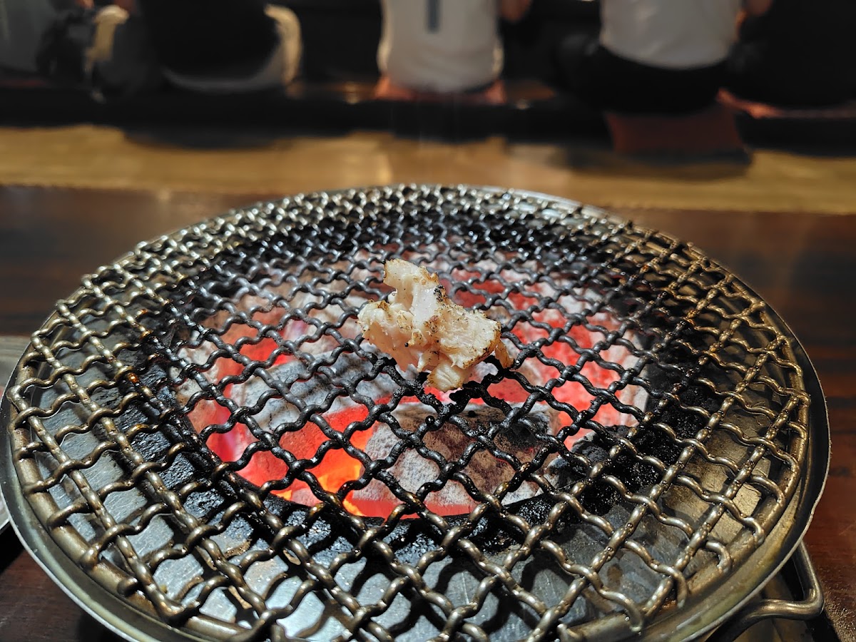 四条ホルモン
