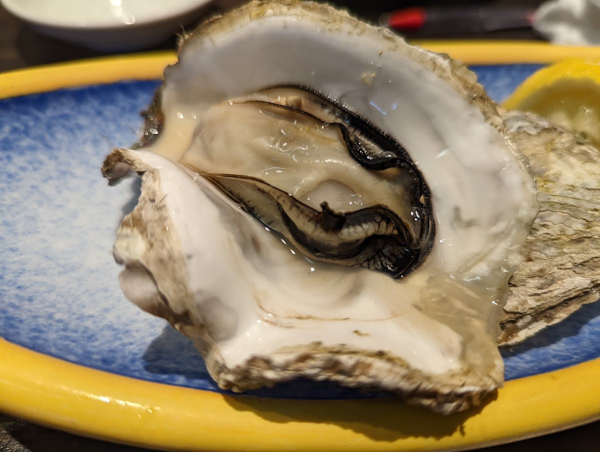 良寿し